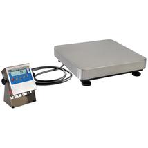 Scales with EX certificate