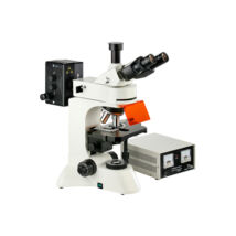 Fluoreszcens mikroszkóp - L3201