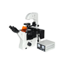 Fluoreszcens mikroszkóp - XDY-2