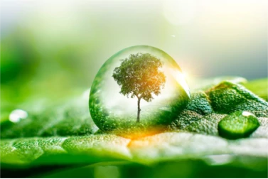 Fedezze fel a Fenntarthatóság és Minőség Tökéletes Harmóniáját a Labcon Termékeivel!